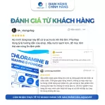 Bột khử khuẩn Chloramine B